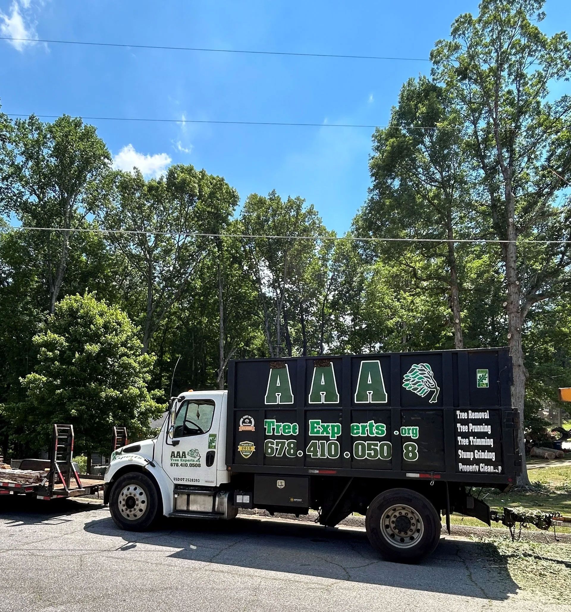Photo of AAA Tree Experts