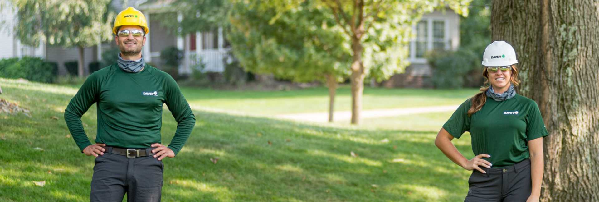The Davey Tree Expert Company tree service work