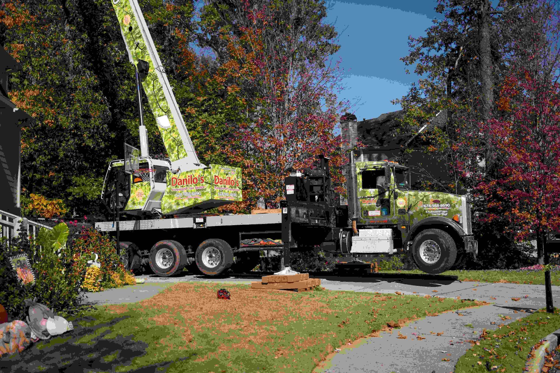 Danilo s+Professional+Tree+Service+ +Landscaping 14T17 37.272Z 1920w