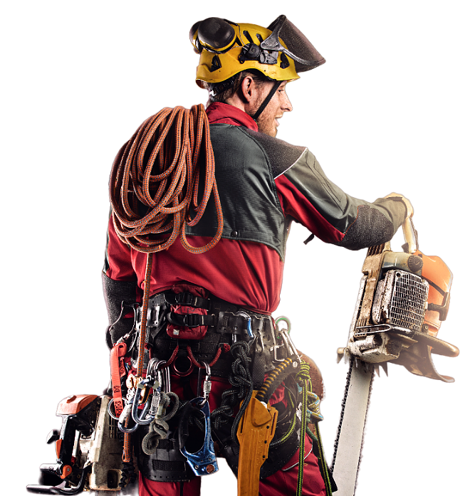 Main hero