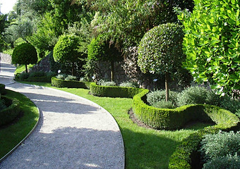 J Murillo Landscaping tree service work