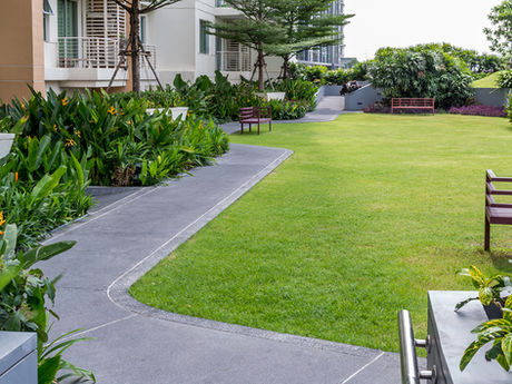 J Murillo Landscaping tree service work
