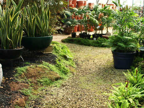 J Murillo Landscaping tree service work