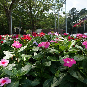 Photo of Signaturescapes