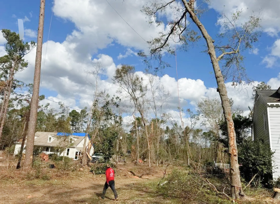 Tree service ga
