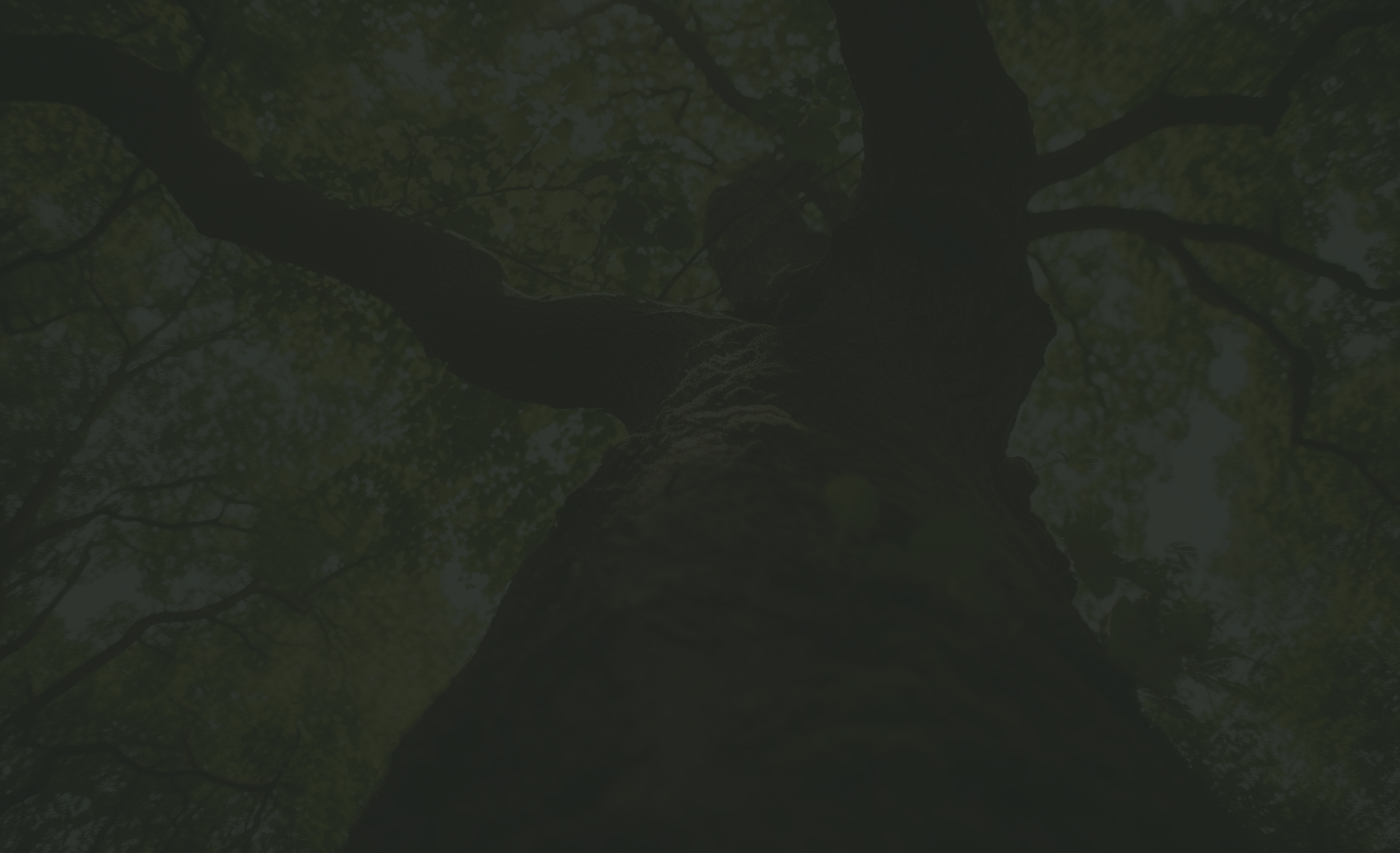 Tree service job ga