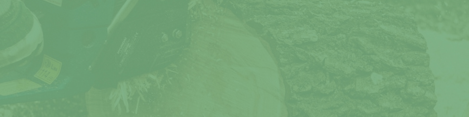Tree service job ga