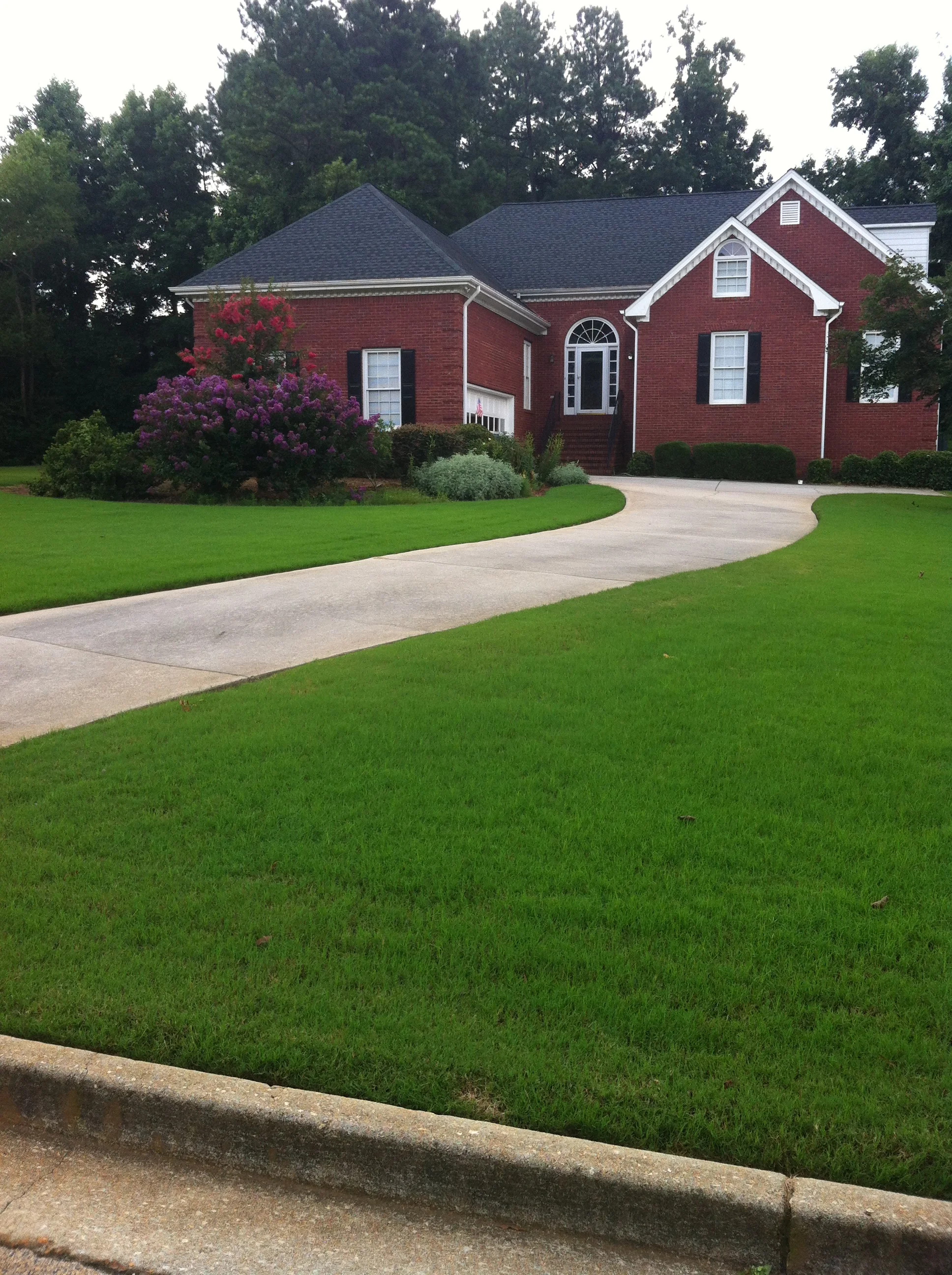 ArtScape Lawn and Turf Professionals tree service work