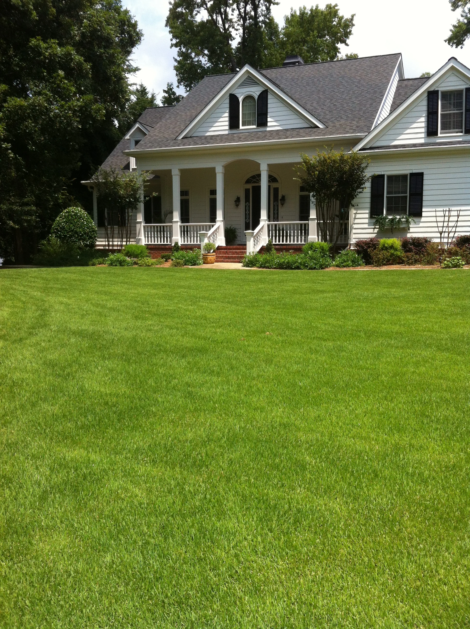 ArtScape Lawn and Turf Professionals tree service work