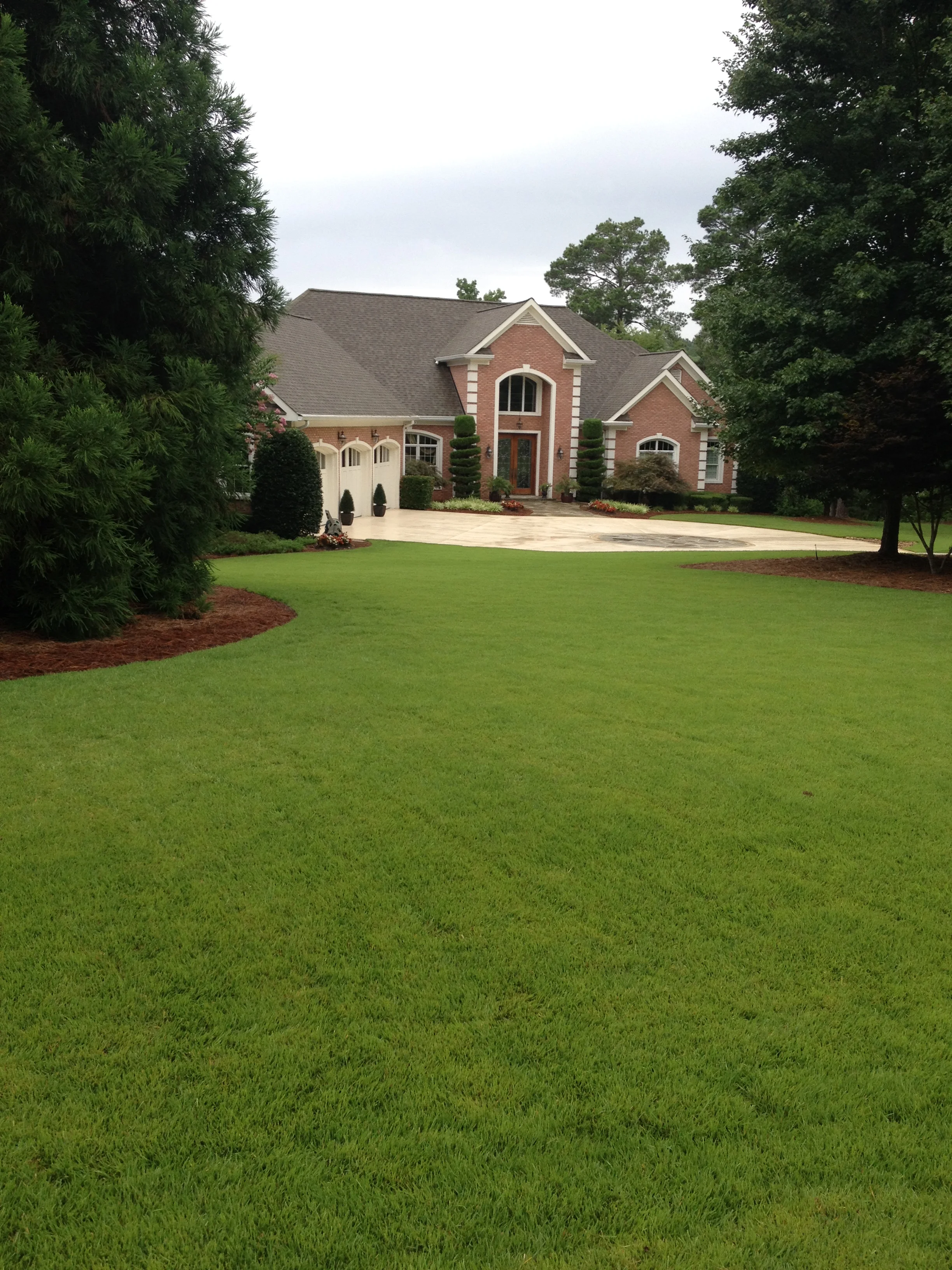ArtScape Lawn and Turf Professionals tree service work