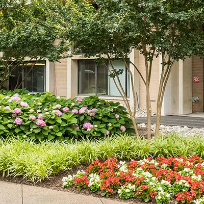 Commercial%20Landscape%20Services%20Company%20 %20Hero%202.jpg