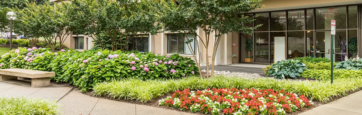 Photo of BrightView Landscapes