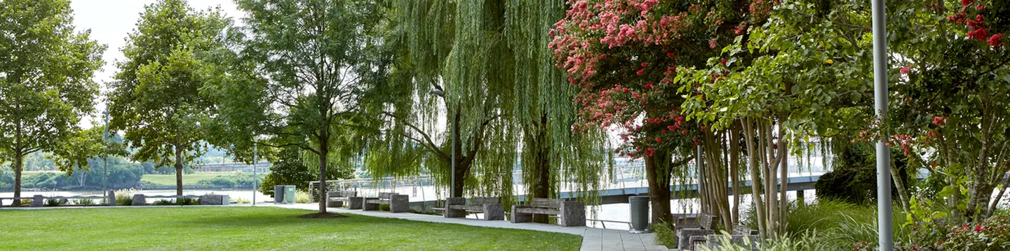 Commercial%20Landscape%20Services%20Company%20 %20Hero%203.jpg