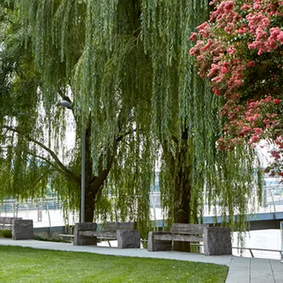 Commercial%20Landscape%20Services%20Company%20 %20Hero%203.jpg