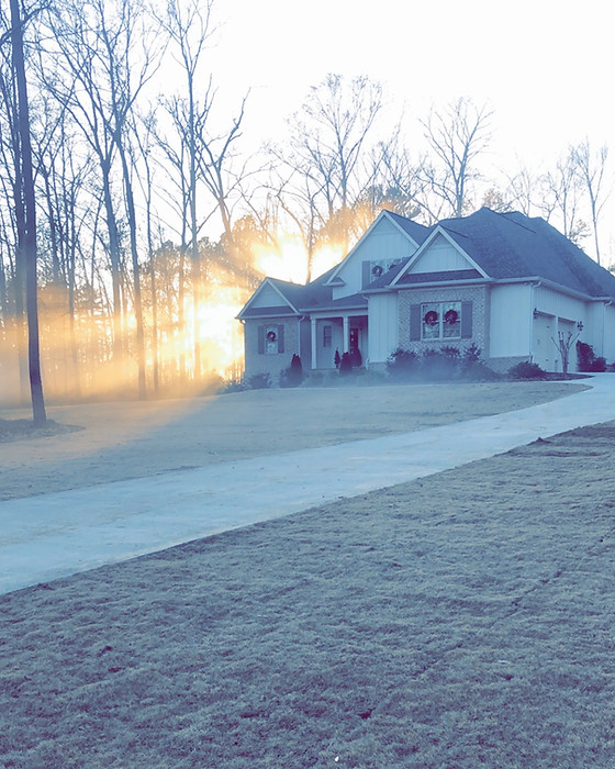 Tony’s Landscape & Tree Service tree service work