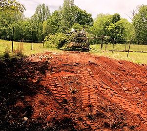 Tony’s Landscape & Tree Service tree service work