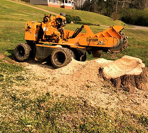 Tony’s Landscape & Tree Service tree service work