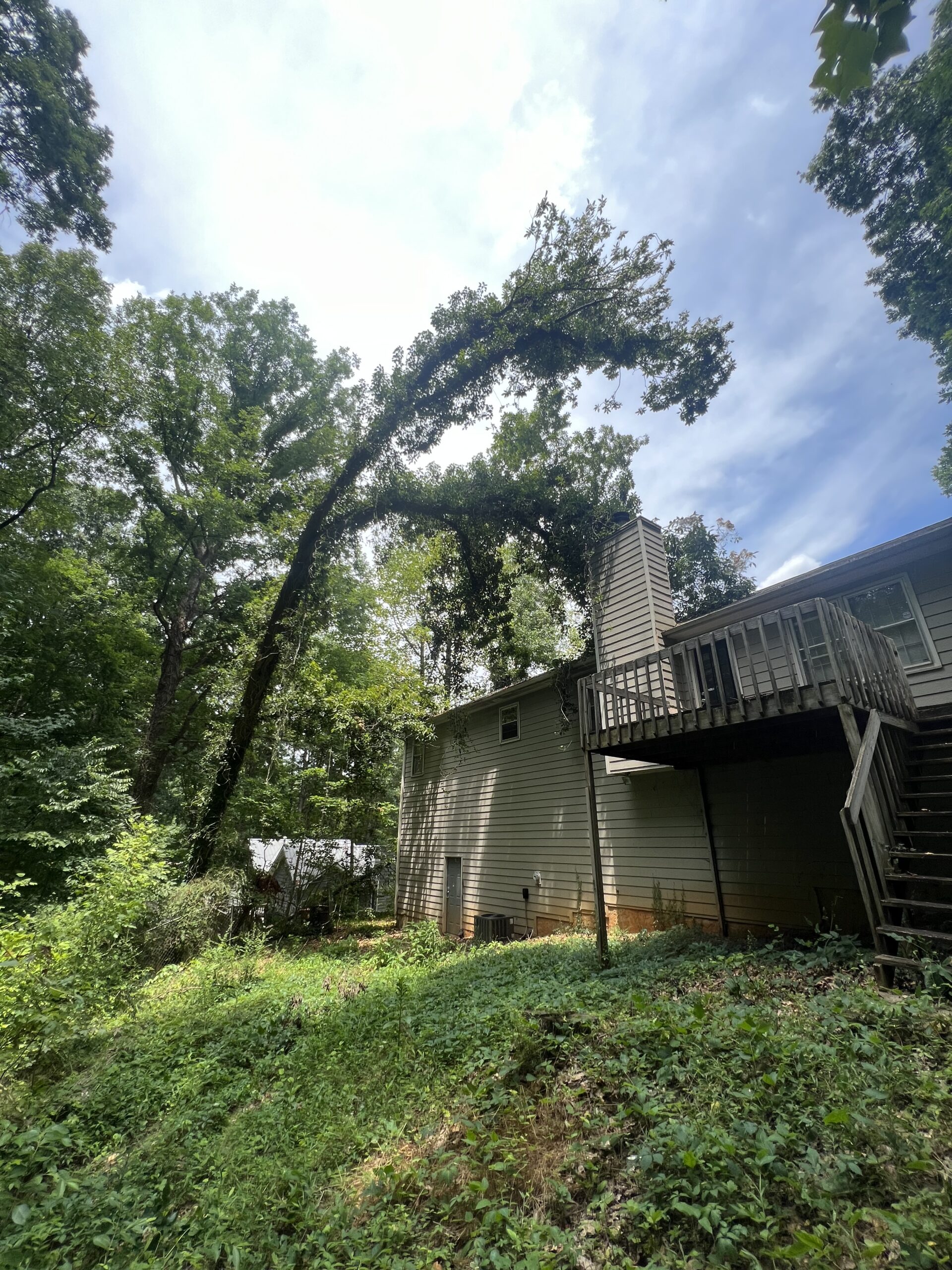 Photo of Pro Green Tree Service