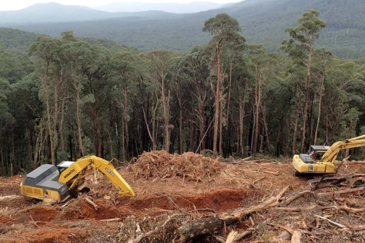 Land Clearing