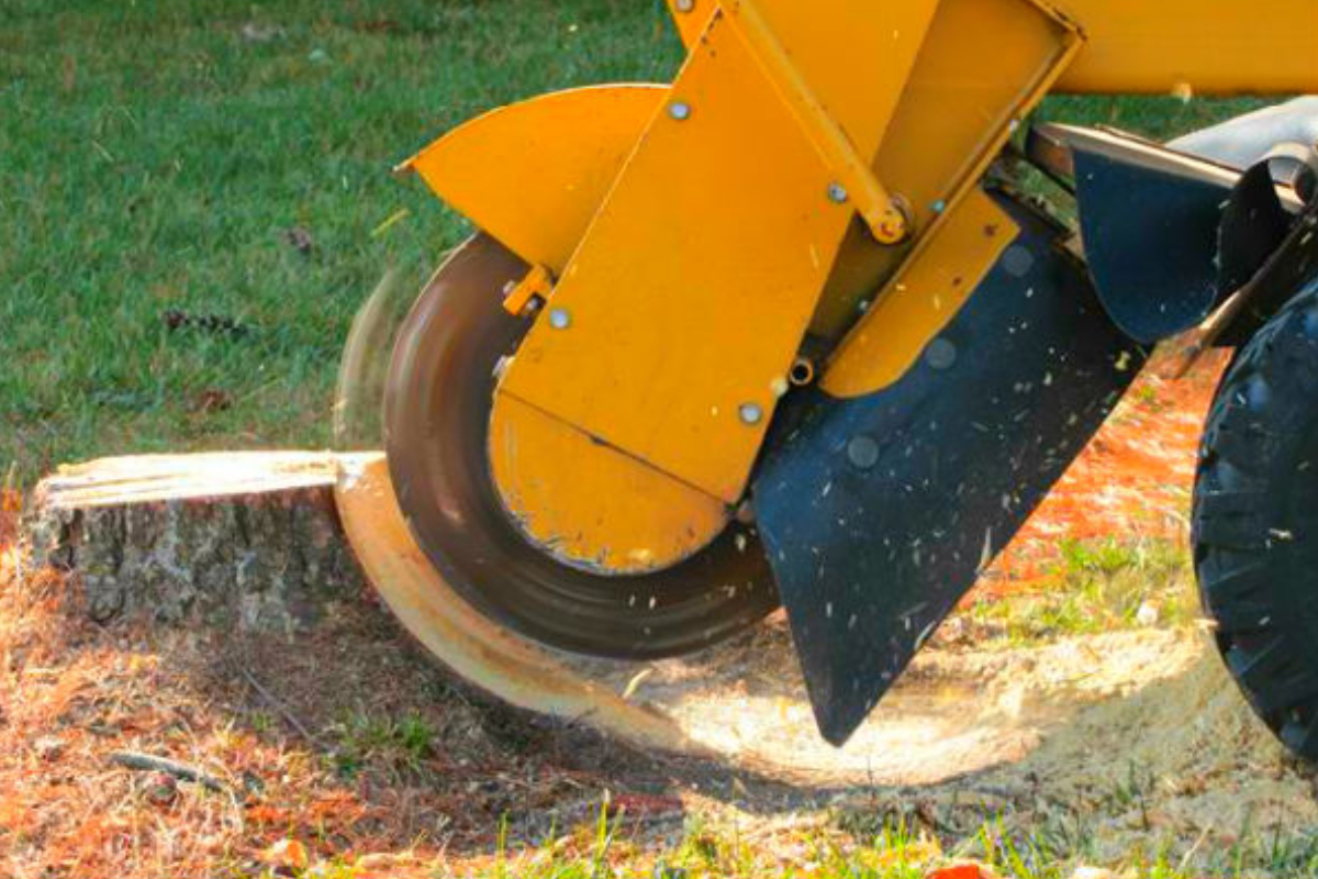 Stump Grinding