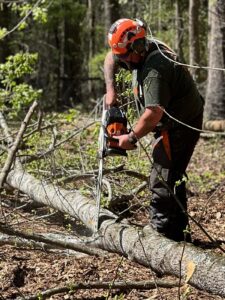 Big South Land & Tree LLC tree service work