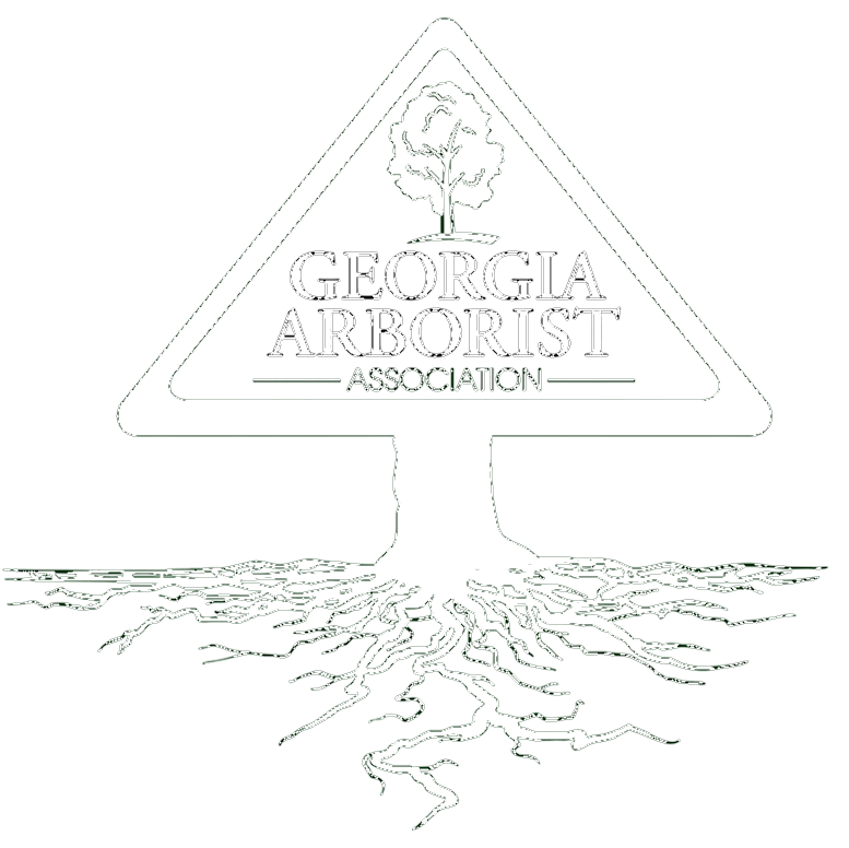 Big South Land & Tree LLC tree service work