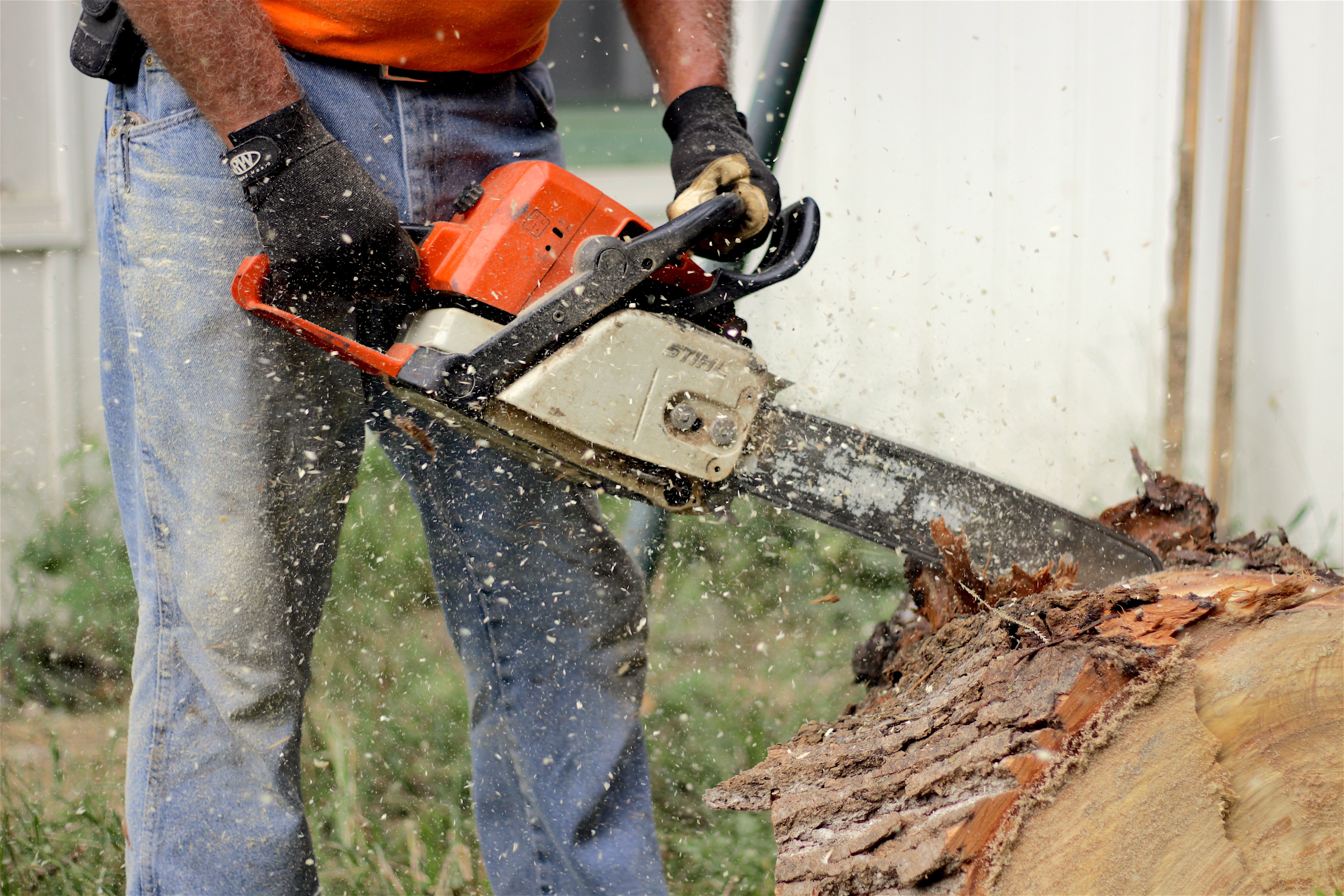 Photo of Superman Tree Service