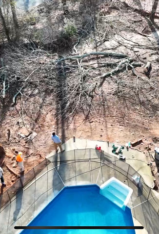 WoodLand Works Tree & Stump LLC tree service work