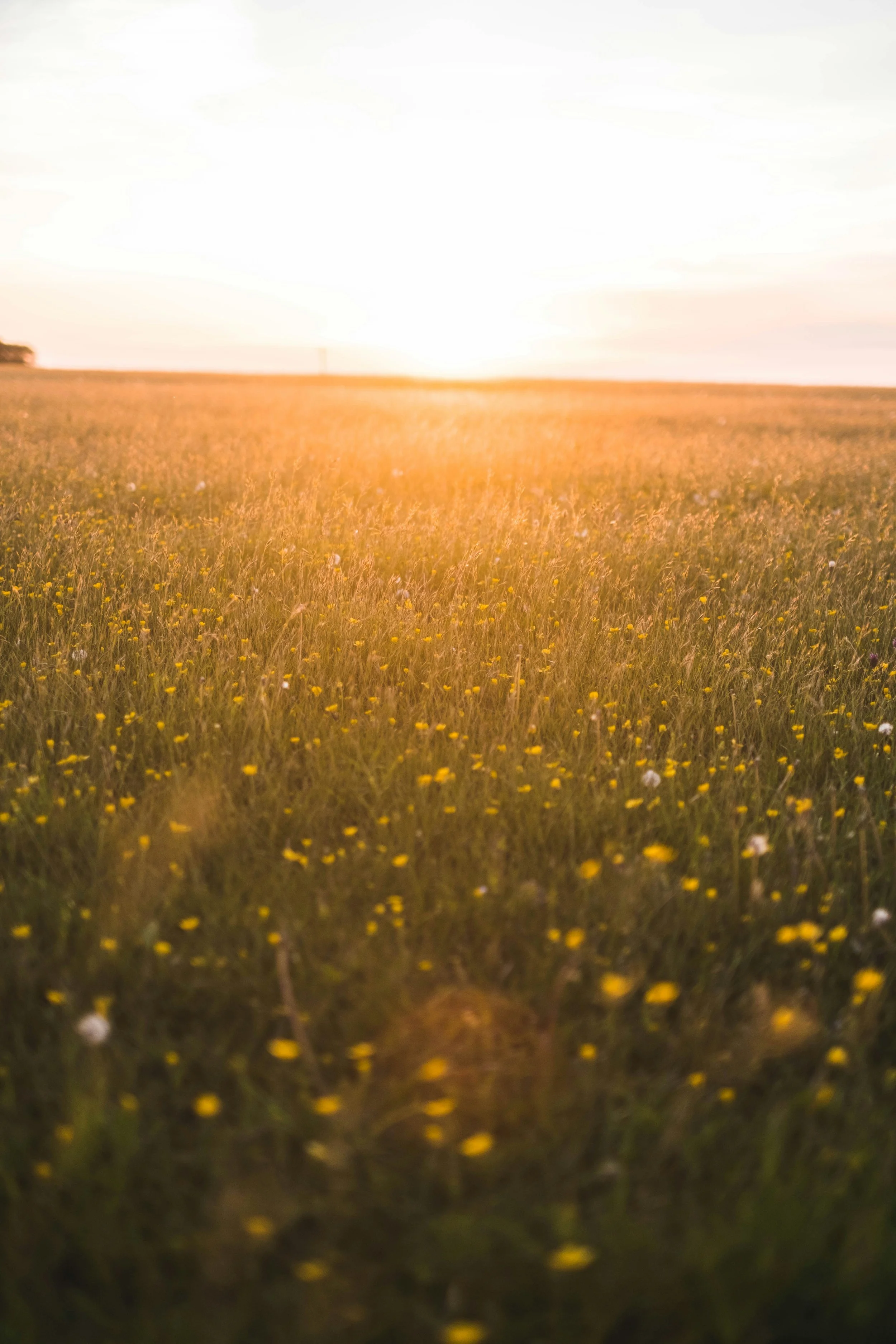 Toby osborn unsplash