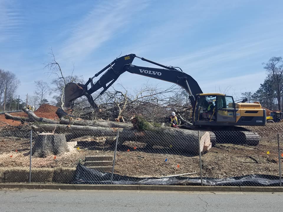 Tree removal2