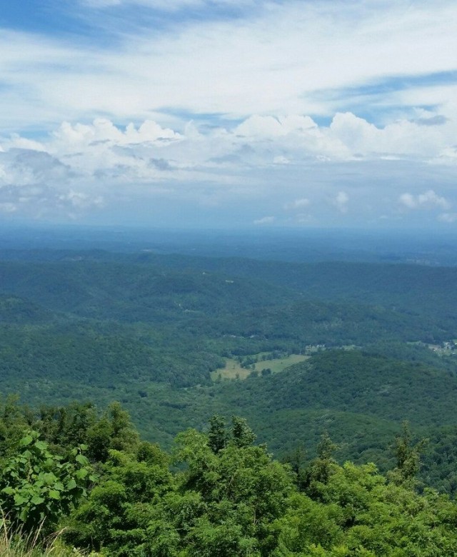 Photo of McAbee Tree Care