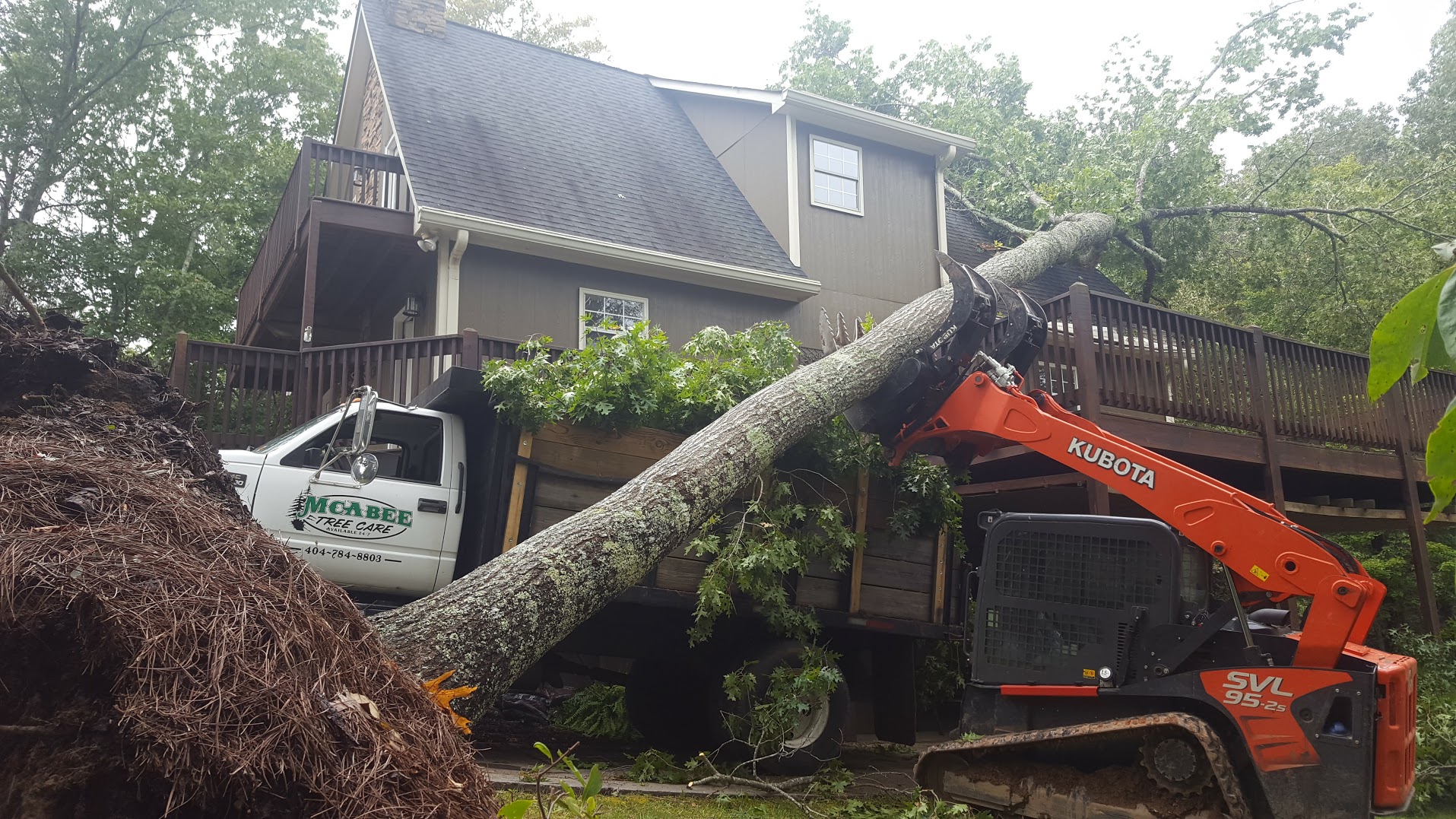 McAbee Tree Care tree service work