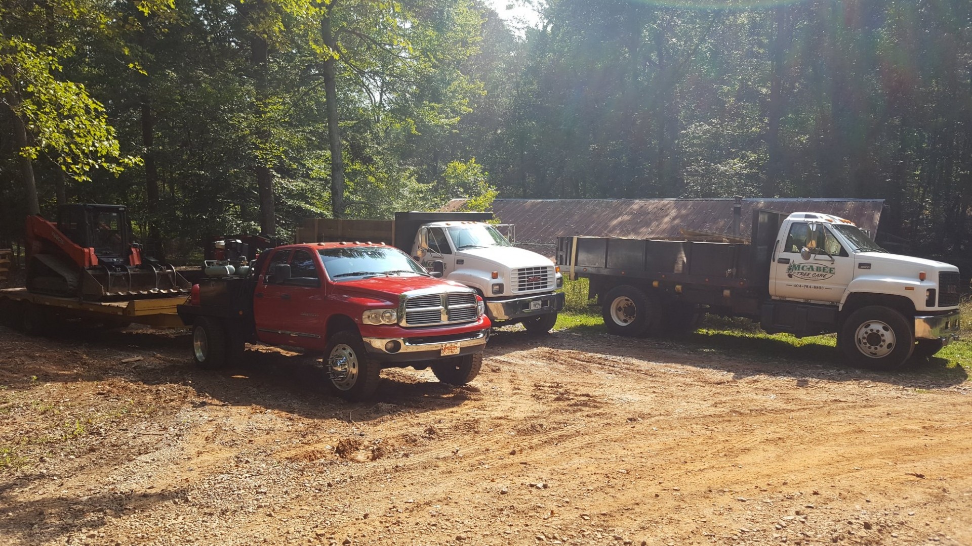 McAbee Tree Care tree service work