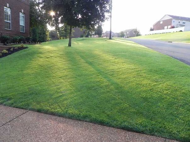 Photo of Chemi-Cole Landscape Solutions