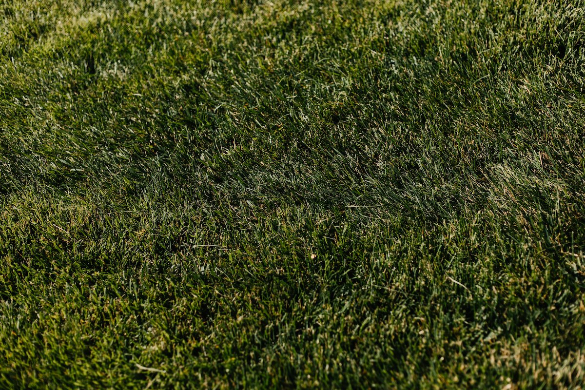 Spraying+yard+for+mosquitoes+Alpharetta%2C+GA%2C+Atlanta%2C+GA%2C+Ball+Ground%2C+GA+