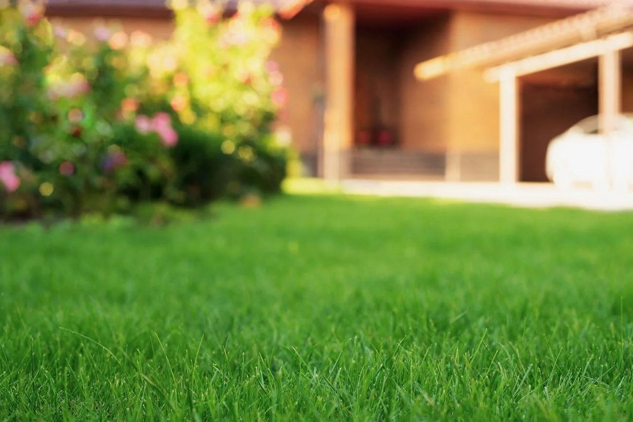 Best+lawn+service+near+me+Braselton%2C+GA
