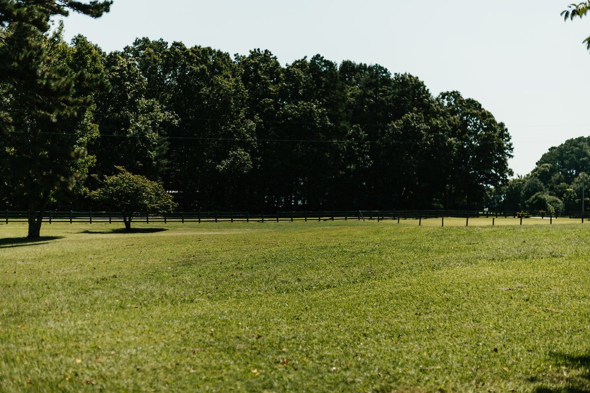 Photo of King GREEN