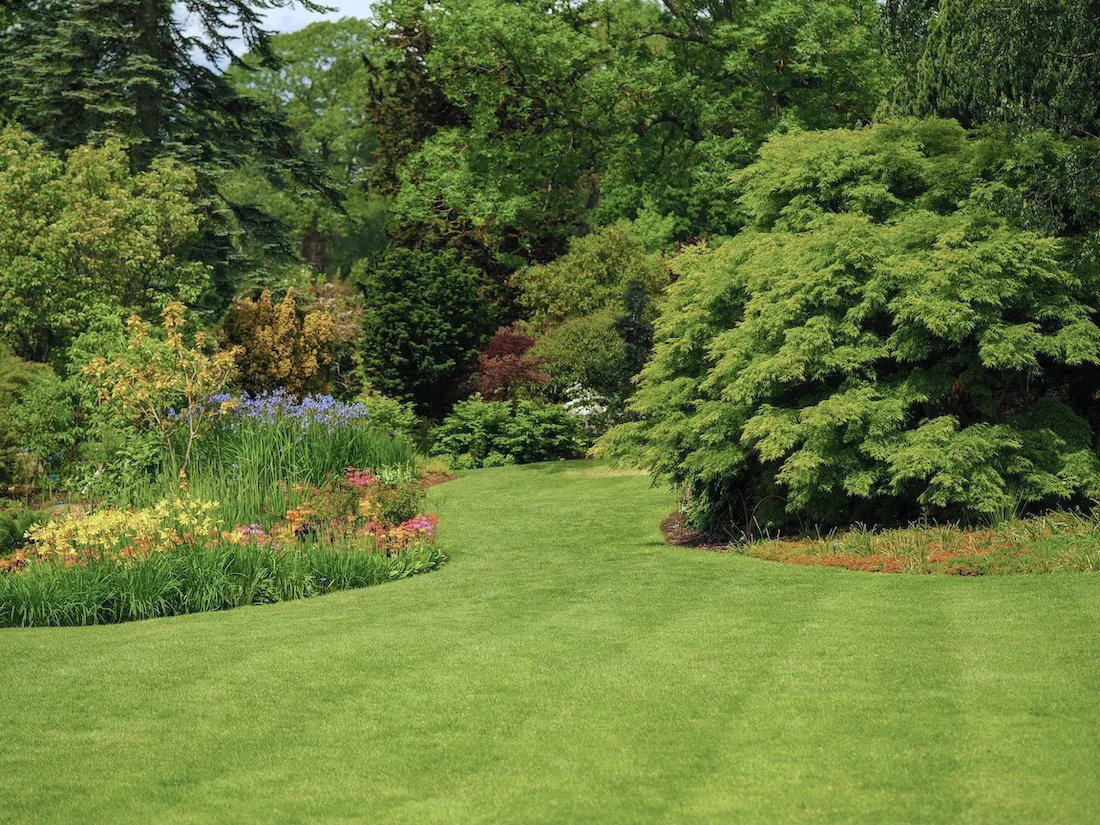 Grass+care+near+me+Oconee+County+Powdersville%2C+SC+Simpsonville%2C+SC