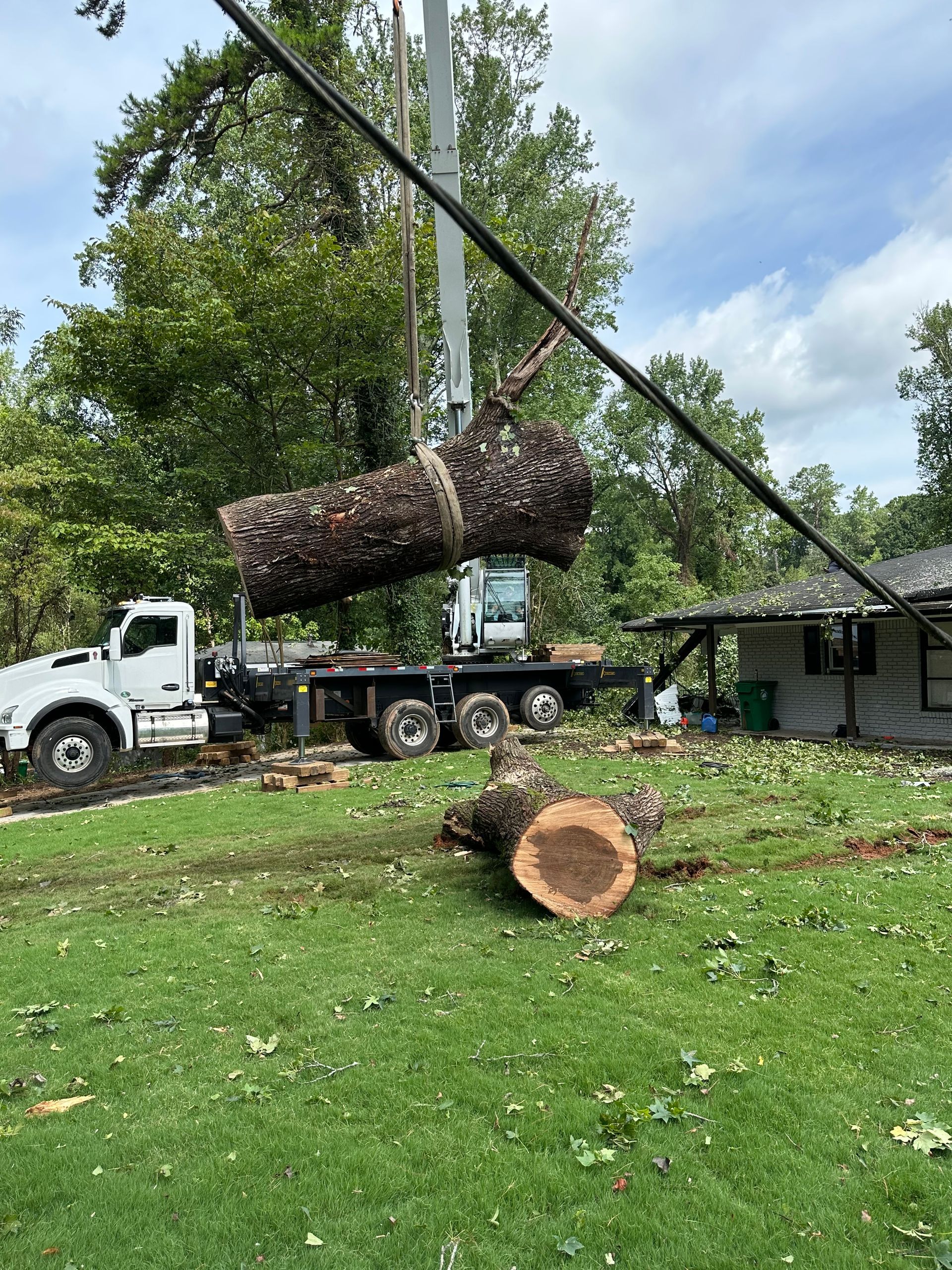 Photo of CR Tree Experts