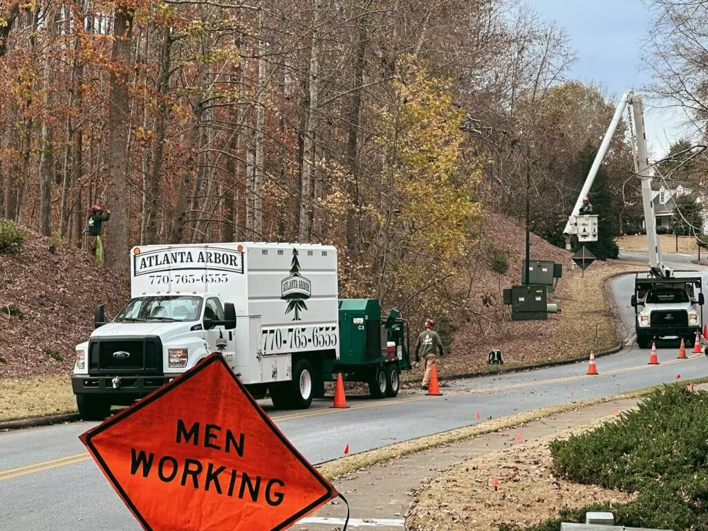 Photo of Atlanta Arbor Marietta Tree Service