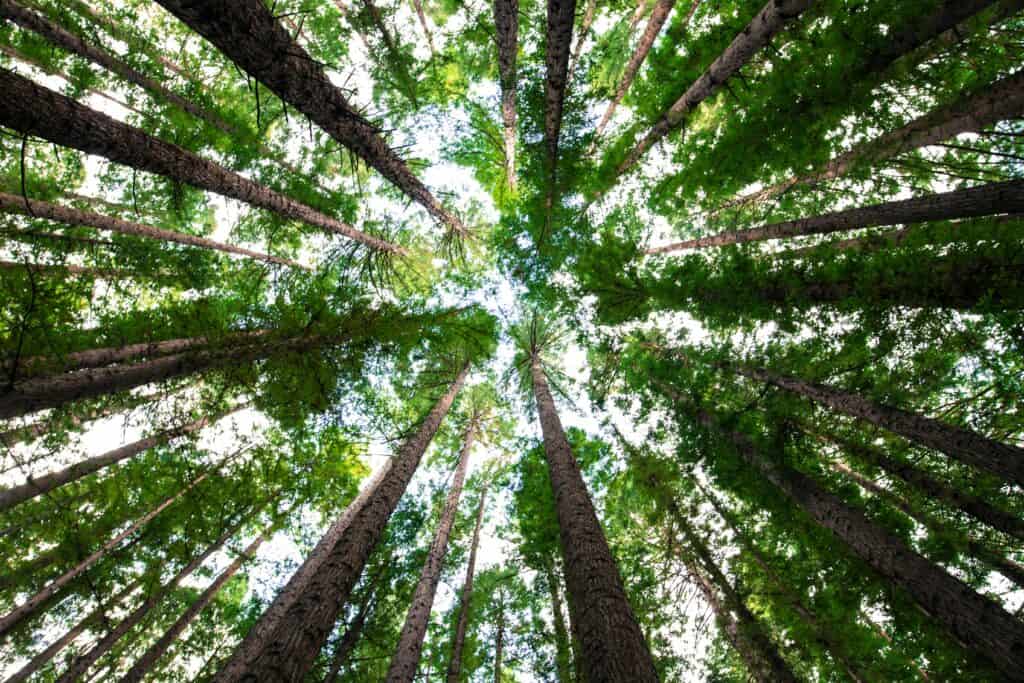 Arnaud mesureur unsplash