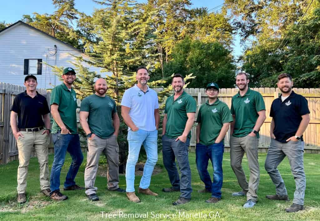 Tree Removal Service Marietta GA