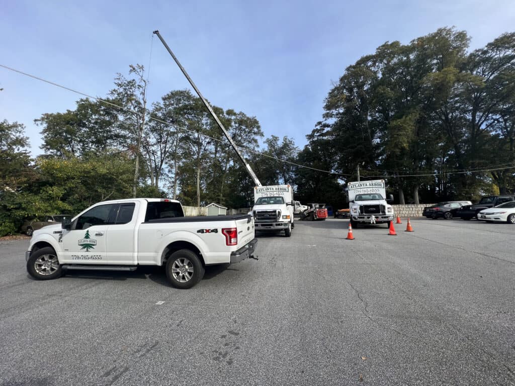 Atlanta Arbor Marietta Tree Service tree service work