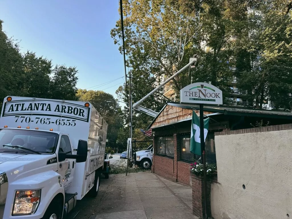 Atlanta Arbor Marietta Tree Service tree service work