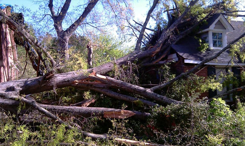 Strom damage img11