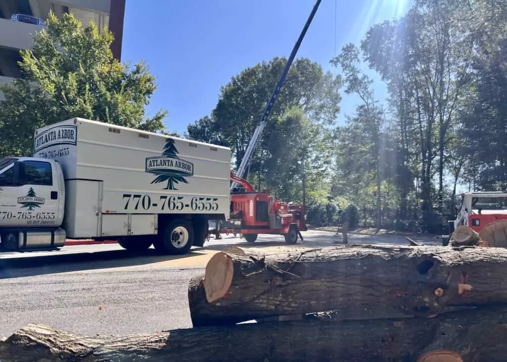 Atlanta Arbor Marietta Tree Service tree service work