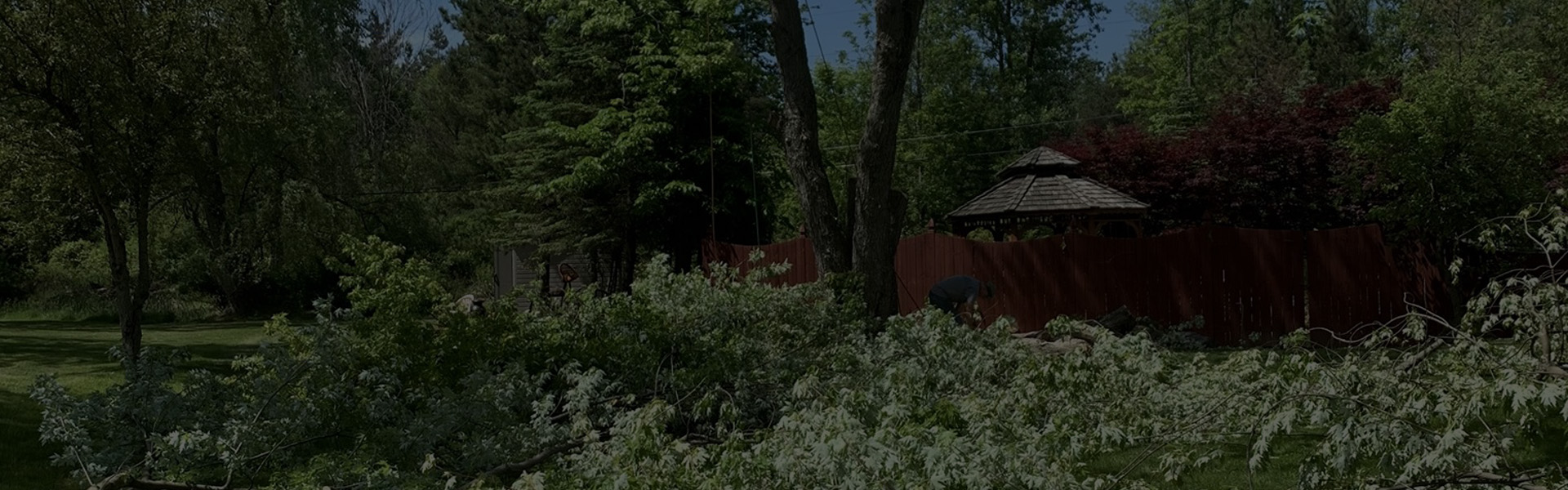 Tree Crews tree service work