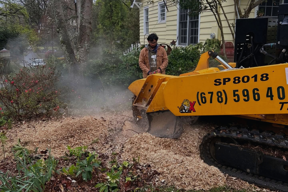 Tree Stump Grinding Service In Atlanta GA