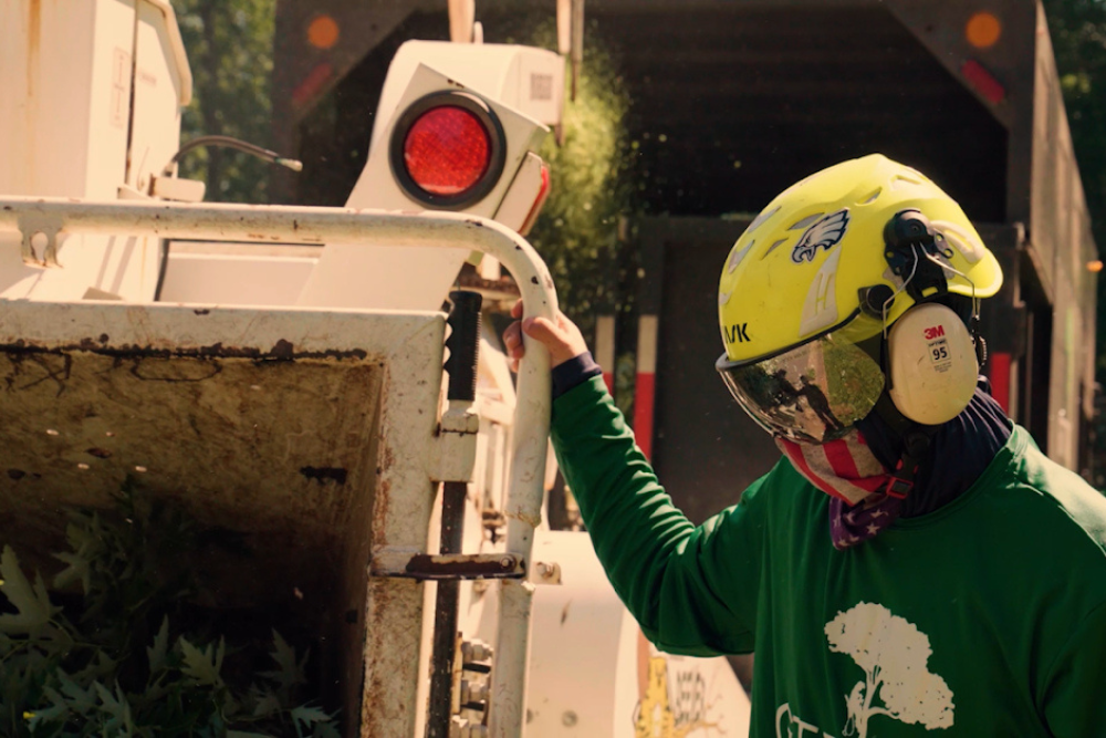 The Safest Choice for Tree Removal Service In Atlanta
