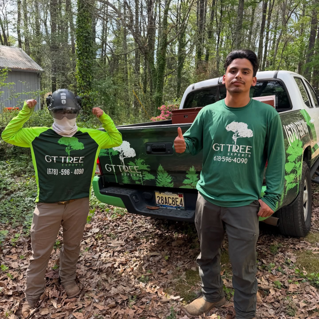 GT Tree Experts Job Site Image